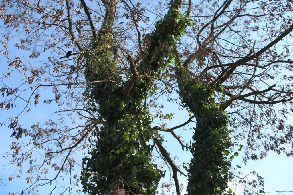 EAttachments92035037b9d0fcd5f3175f0dc9117210c6dd5f5 xl