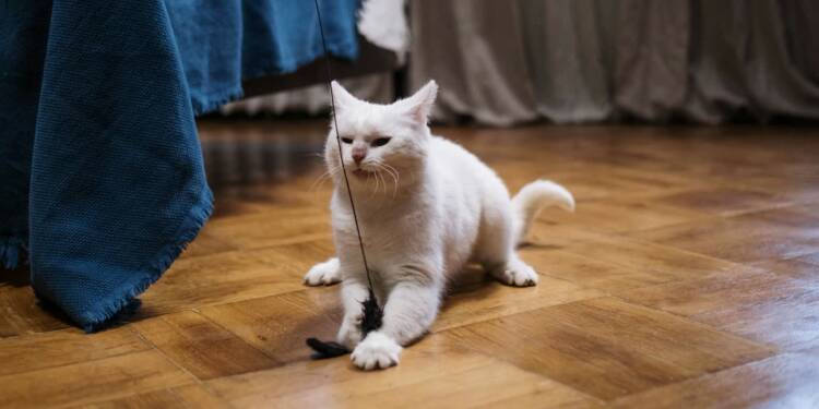 EAttachments920475547ae090f6e850bc34e501ec0ff516042 xl