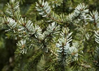 EAttachments9204775d5efb0e67feb680619f9dd77ef5e45a8 xl