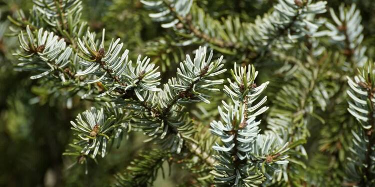 EAttachments9204775d5efb0e67feb680619f9dd77ef5e45a8 xl