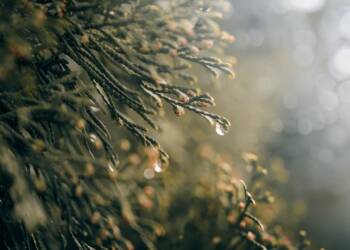 EAttachments9205428be71e97e0b246717e8a3a4e76a0d93d0 xl