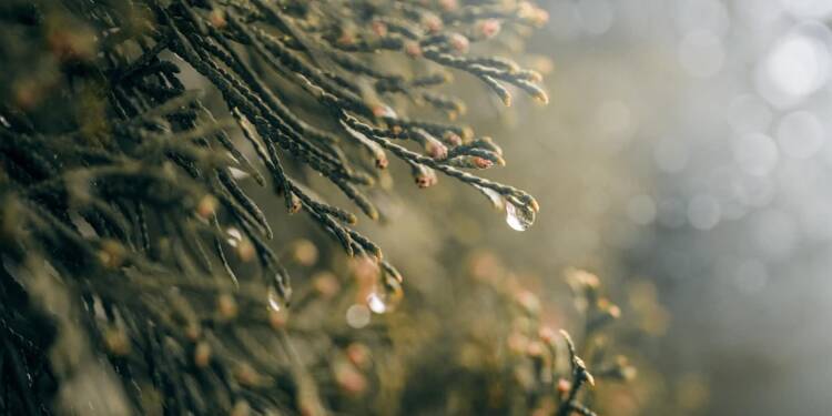 EAttachments9205428be71e97e0b246717e8a3a4e76a0d93d0 xl