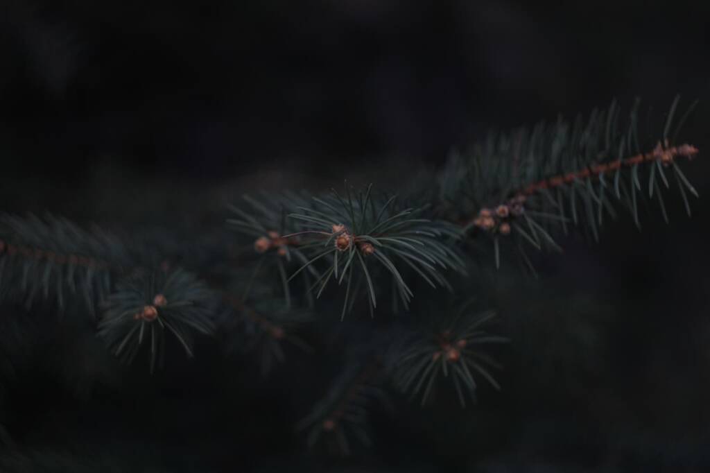 EAttachments9206411dd8e78ba567ce7c3a363868e8a5f081f xl