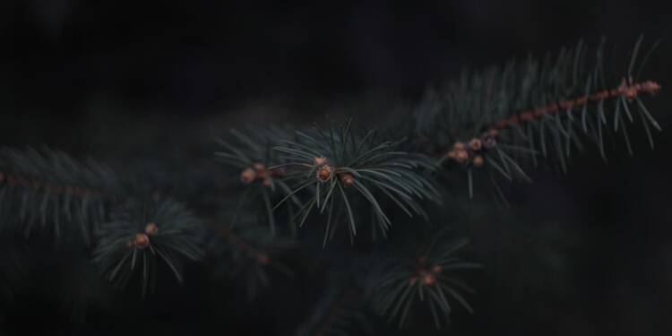 EAttachments9206411dd8e78ba567ce7c3a363868e8a5f081f xl