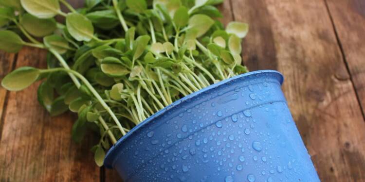 EAttachments920661119685810d8cae0349ce7bbb89ff996e9 xl