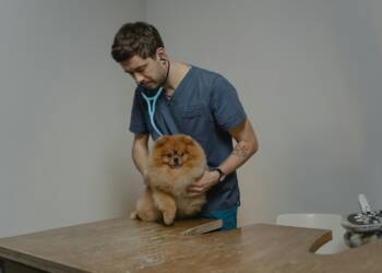 EAttachments9206952216b2d212df8fabe7b9e9d486a2badeb xl