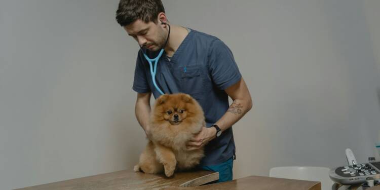 EAttachments9206952216b2d212df8fabe7b9e9d486a2badeb xl