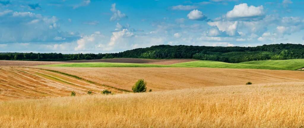 18.12.2025 Agrobiznes - geoportal ARiMR dostępny dla wszystkich 1 EAttachments92078217ba6c492e998a8caadaaa3c49e7c0fc1 xl