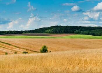 18.12.2025 Agrobiznes - geoportal ARiMR dostępny dla wszystkich 2 EAttachments92078217ba6c492e998a8caadaaa3c49e7c0fc1 xl