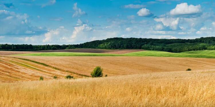18.12.2025 Agrobiznes - geoportal ARiMR dostępny dla wszystkich 1 EAttachments92078217ba6c492e998a8caadaaa3c49e7c0fc1 xl