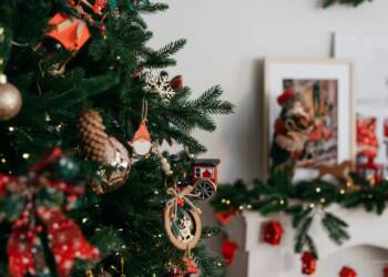 EAttachments92079471ac82b007cede6faab6d9aecefc6d768 xl