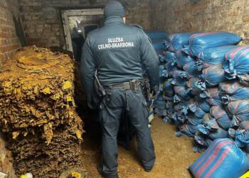 EAttachments9209078ff865f2020694c59c8380b3e68b49401 xl