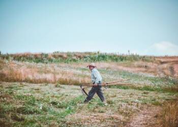 19.12.2025 Agrobiznes - wsparcie na inwestycje w gospodarstwach rolnych 2 EAttachments92104752d90357f4da8f5bafb80da34fe1361fc xl