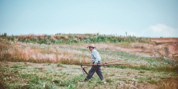 19.12.2025 Agrobiznes - wsparcie na inwestycje w gospodarstwach rolnych 1 EAttachments92104752d90357f4da8f5bafb80da34fe1361fc xl