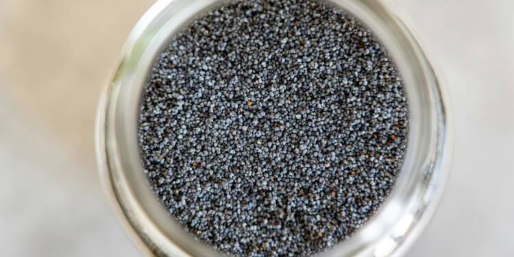 EAttachments921128715bde9b76b98bb7c2f1d6bfc6c6fcdcc xl