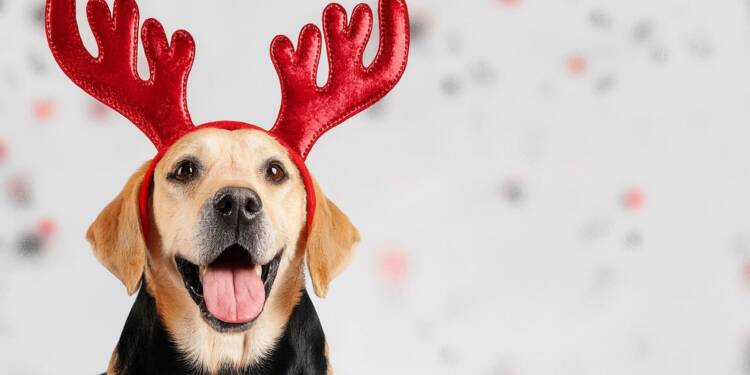 EAttachments9211826c8714ecd507f04fc4f840d09ee4e244d xl