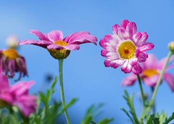 EAttachments92130556a185d8bf9b66b97e1836417fca93af7 xl