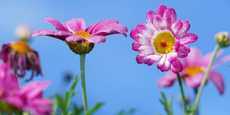 EAttachments92130556a185d8bf9b66b97e1836417fca93af7 xl