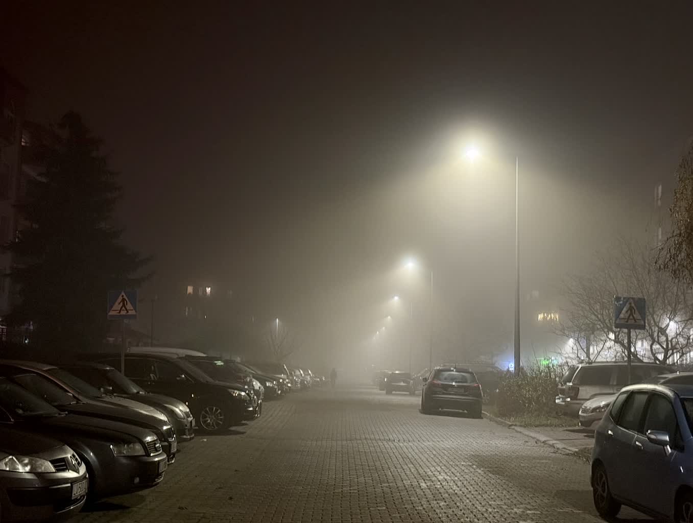 Mgły na drodze! Policja apeluje o zachowanie ostrożności 2 IMG_7828.jpeg