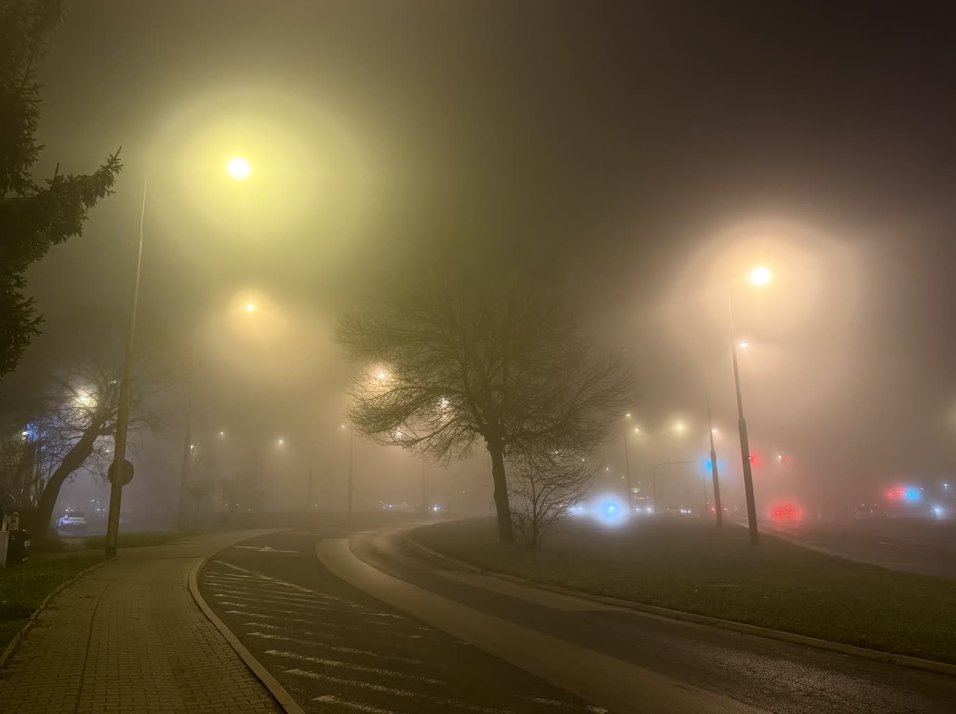 Mgły na drodze! Policja apeluje o zachowanie ostrożności 3 IMG_7842.jpeg