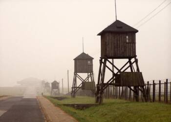 EAttachments92137016f28df38709591d4e6a21e4c22620854 xl