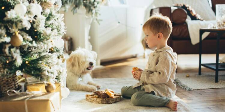 EAttachments921632705431f67900c4c7f12fd0b7c3138fc55 xl