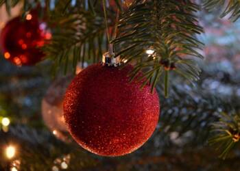 EAttachments921706301b178e8f34bd5906ded689c93c57506 xl