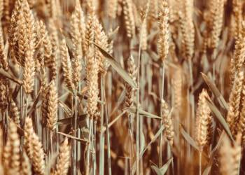 EAttachments92172705d45ae08f9ece2be37cad652d0bd8f18 xl