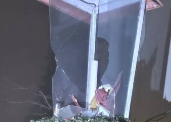 EAttachments9218870bc588bf81903b09053db8cc146dd6f1c xl