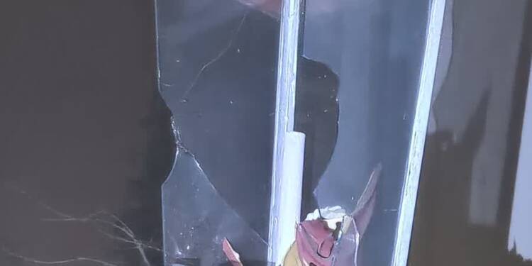 EAttachments9218870bc588bf81903b09053db8cc146dd6f1c xl