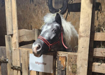 EAttachments922147578734e6daf88ae44b112fd6e71762e00 xl 1024x576 1