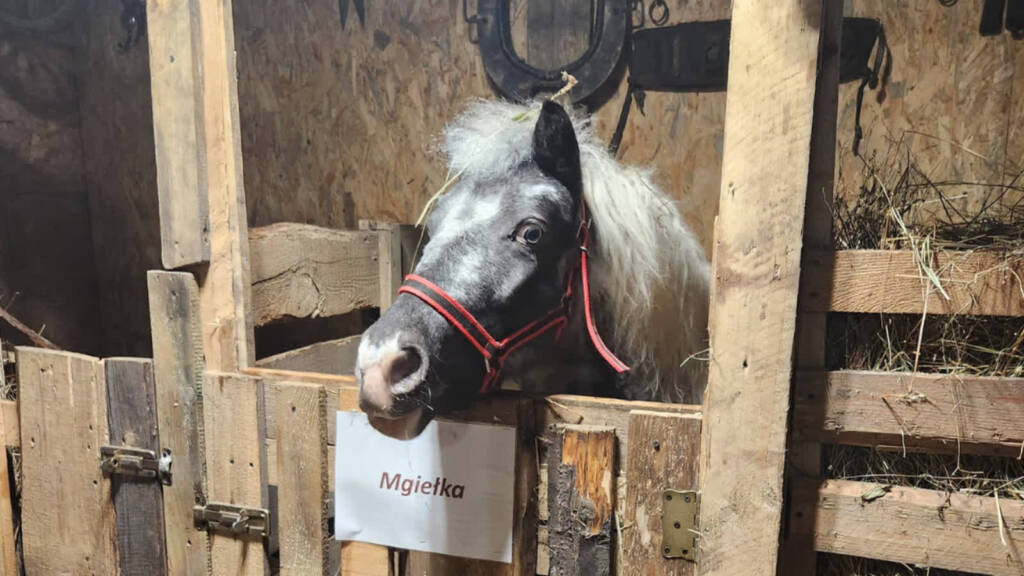 EAttachments922147578734e6daf88ae44b112fd6e71762e00 xl