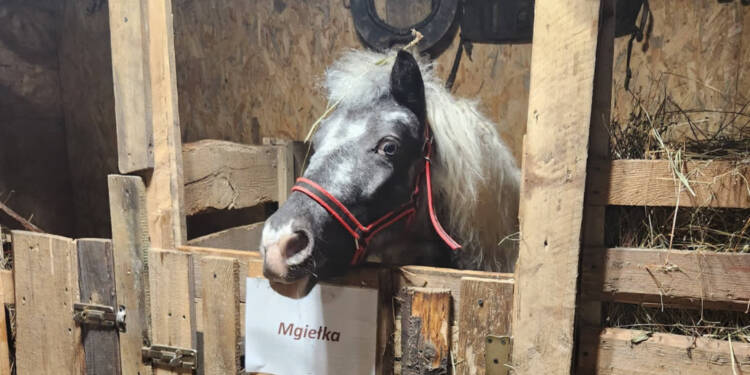 EAttachments922147578734e6daf88ae44b112fd6e71762e00 xl