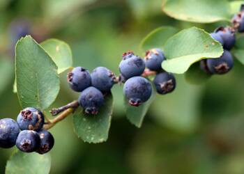 EAttachments9221676340382f2b6fd34f4386163470982144c xl