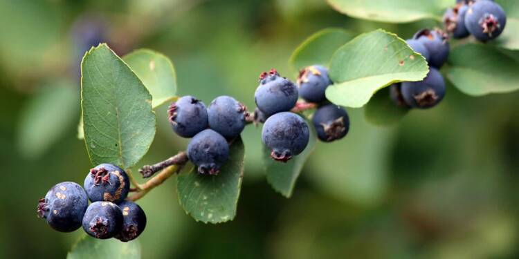 EAttachments9221676340382f2b6fd34f4386163470982144c xl