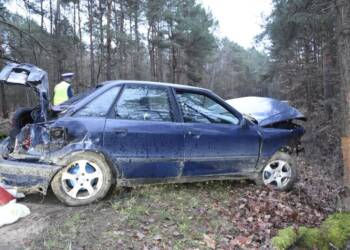 EAttachments9222420581dd1b20f3ec053bfd8e48fd23e34af 1 xl