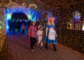 EAttachments92224848b4383660da7c72a0b689064b78aef44 xl