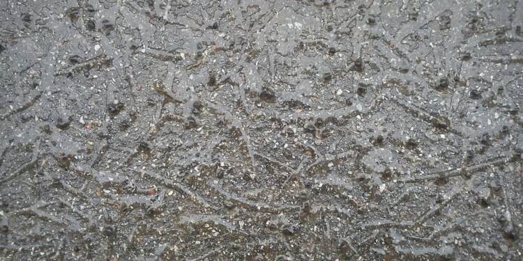 EAttachments9222826c847b01aae0c2b5dd4eb824d717e922a xl