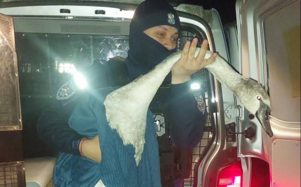 EAttachments9225741dacbba94c9e71b153dab5c097d5c73bf xl