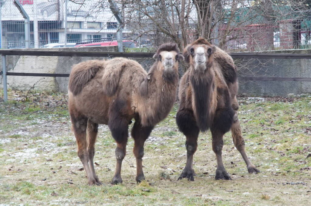 EAttachments9226195739da11e64d629ab0833946417a85e9e xl