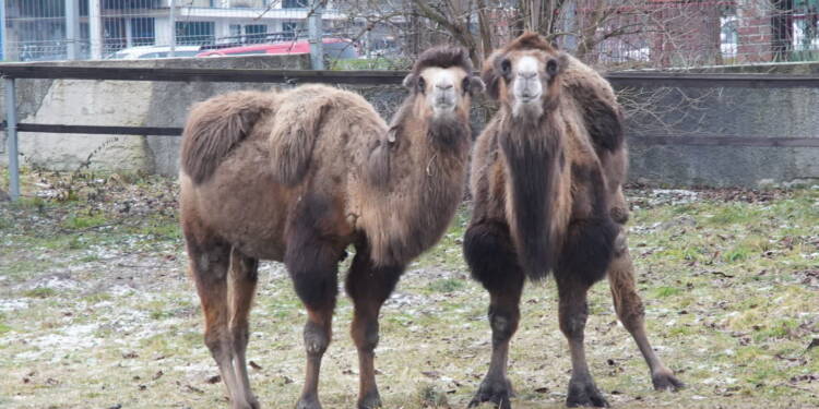 EAttachments9226195739da11e64d629ab0833946417a85e9e xl