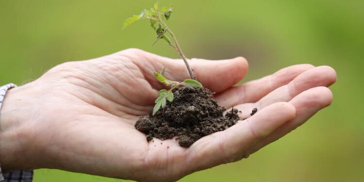 30.12.2025 Sekrety nauki - projekt Increase 1 EAttachments9226875156aeb7cc6619be79d54de51b2f4d53e xl