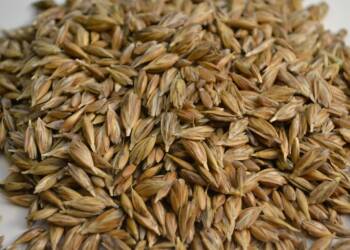 EAttachments9227525d981cc98b29ba58f8bb907c0bdd5883c xl