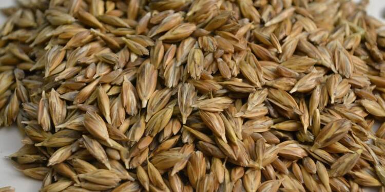 EAttachments9227525d981cc98b29ba58f8bb907c0bdd5883c xl