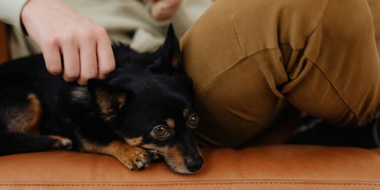 EAttachments9246232aff6c9a35acb155fd7733696ec3c29ab xl