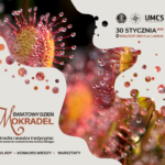 124204 wwd 2026 post na fb 1