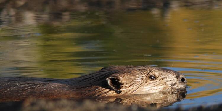 EAttachments1083558cb710c19ccd6cd2063b1df1cdb1a736a