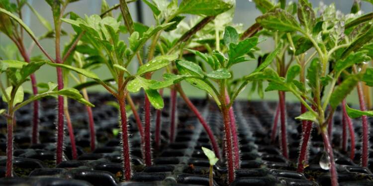 EAttachments5235249c39a03be9c4523f6142ed4e4387a0850