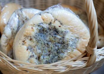 05.01.2026 Agrobiznes - o lubelskich smakołykach na Liście Produktów Tradycyjnych 8 2022-11-05T12:43:10:10 , Fot. Piotr Michalski 2022.11.05. LUBLIN . MUZEUM CEBULARZA LUBLIN . POKAZ PIECZENIA CEBULARZA .
FOT. PIOTR MICHALSKI