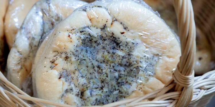 05.01.2026 Agrobiznes - o lubelskich smakołykach na Liście Produktów Tradycyjnych 1 2022-11-05T12:43:10:10 , Fot. Piotr Michalski 2022.11.05. LUBLIN . MUZEUM CEBULARZA LUBLIN . POKAZ PIECZENIA CEBULARZA .
FOT. PIOTR MICHALSKI